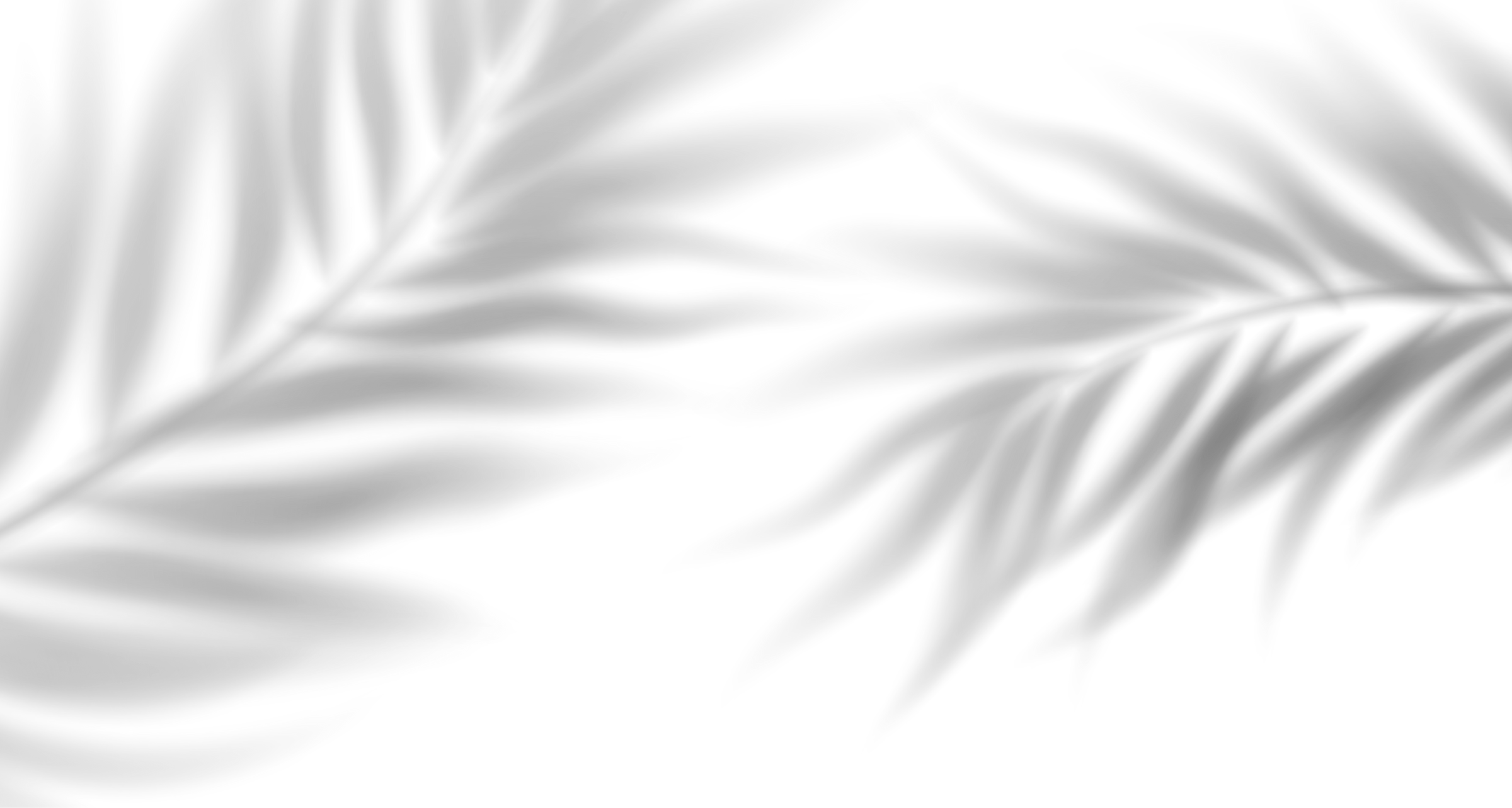 Palm Leaves Shadow